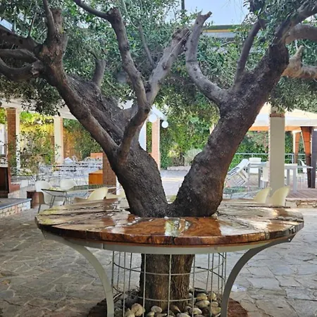 Hotel Olympic Village & 4*