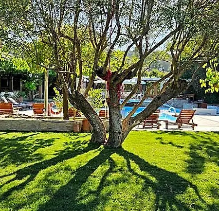 Olympic Village & Hotel 4*