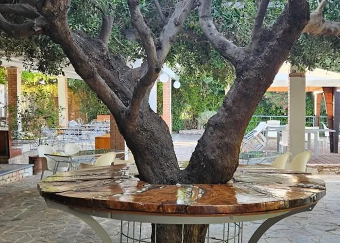 ホテル Olympic Village & 4*